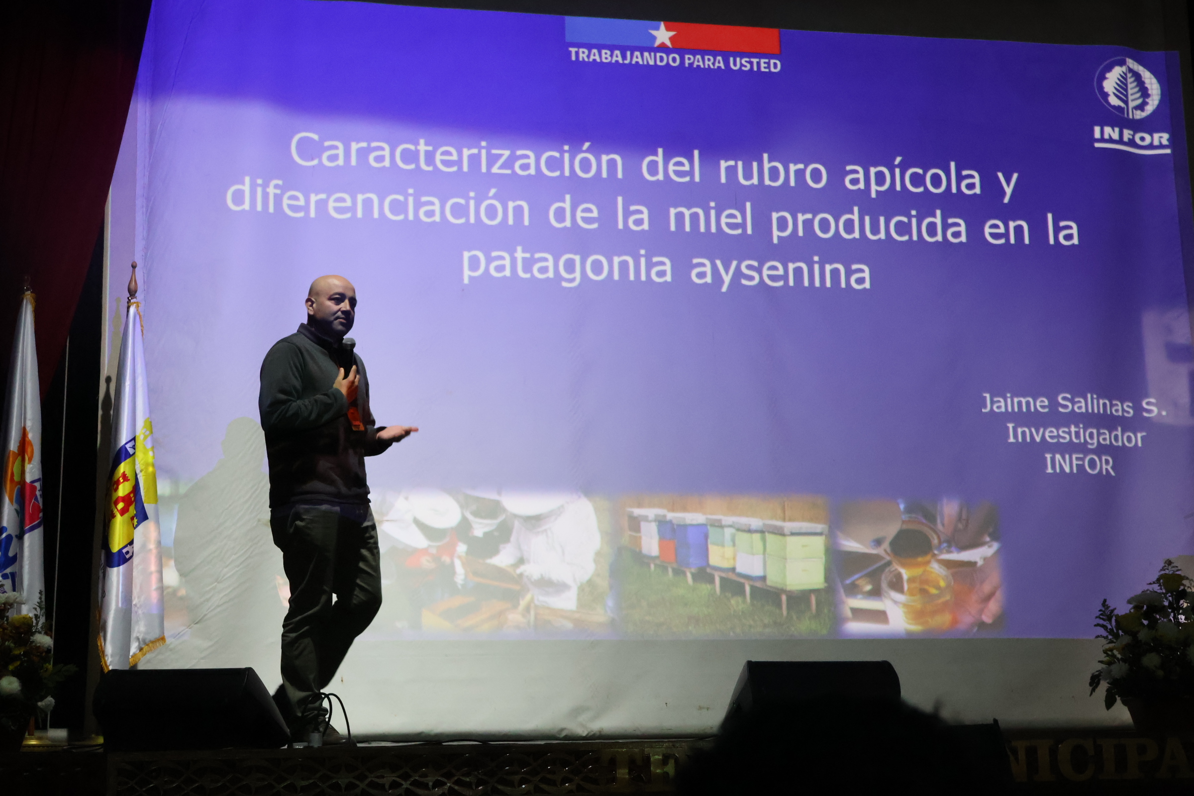 Aysén: Mieles Únicas y Libres de Enfermedades